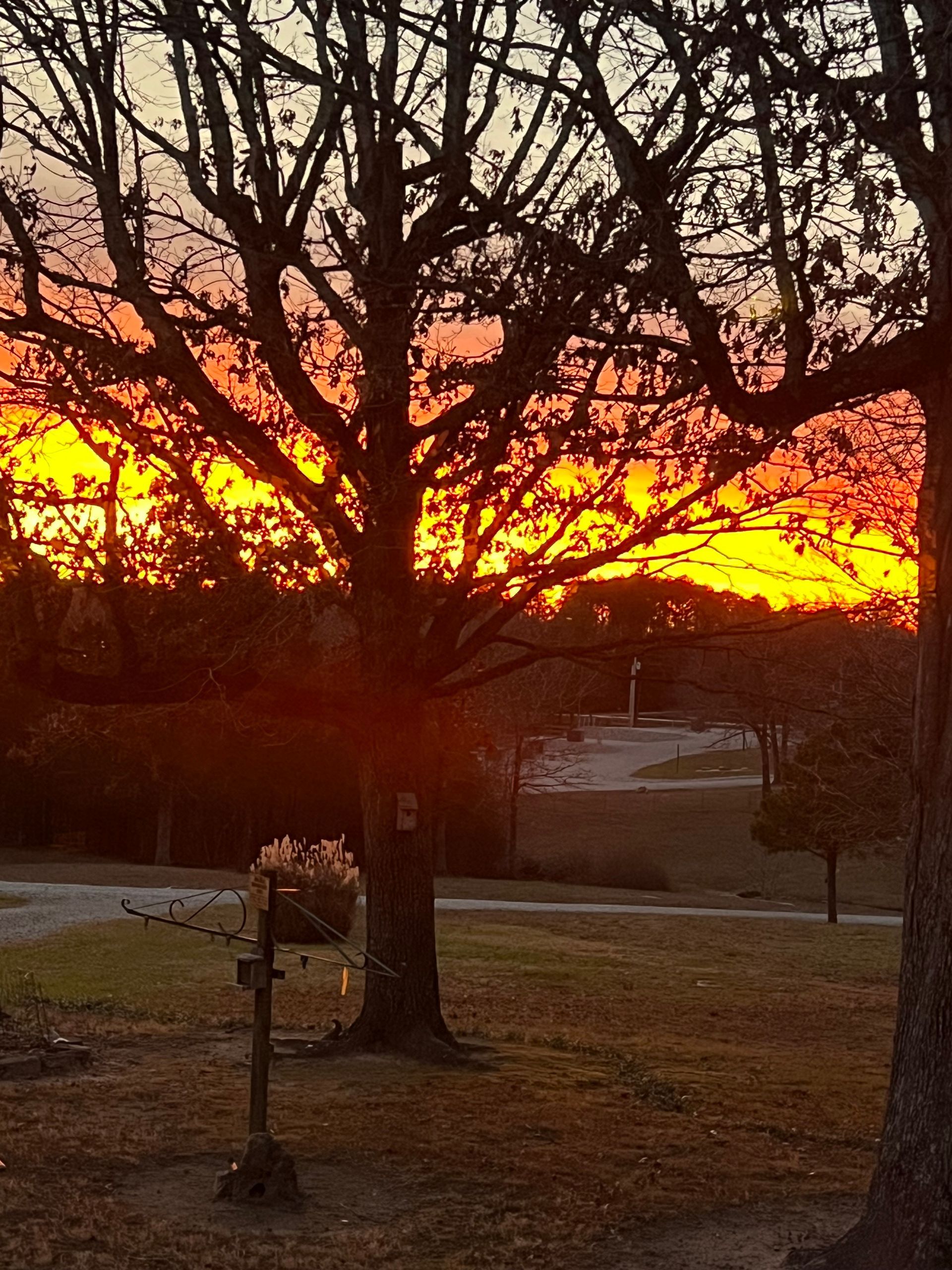 Arkansas sunset from the resort